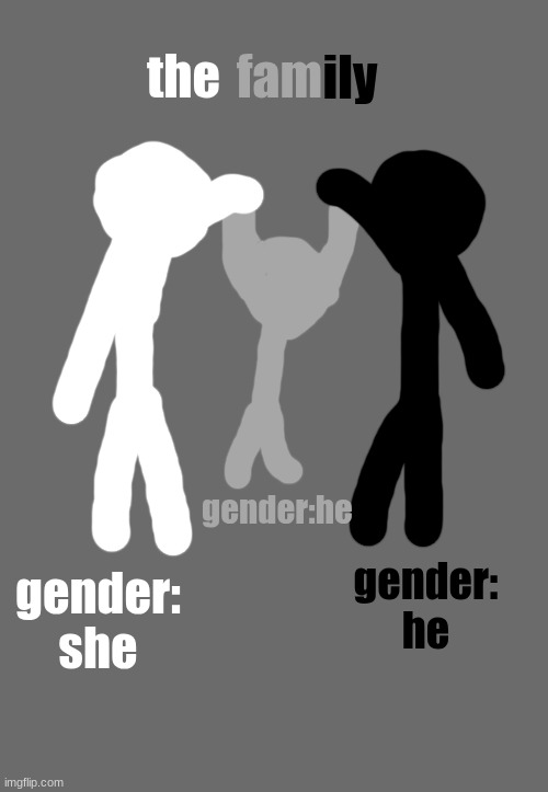 the family | fam; ily; the; gender:he; gender: he; gender: she | image tagged in fun | made w/ Imgflip meme maker