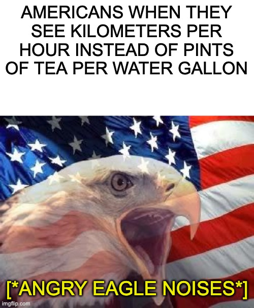 *insert cool title* | AMERICANS WHEN THEY SEE KILOMETERS PER HOUR INSTEAD OF PINTS OF TEA PER WATER GALLON; [*ANGRY EAGLE NOISES*] | image tagged in patriotic eagle,memes,america,funny | made w/ Imgflip meme maker
