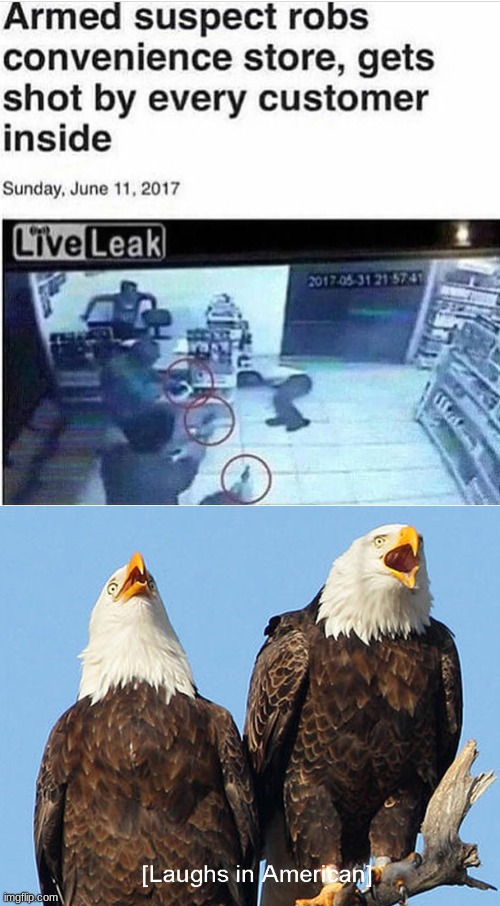 I am willing to bet money that this happened in Texas | image tagged in laughs in american,guns,robbery | made w/ Imgflip meme maker