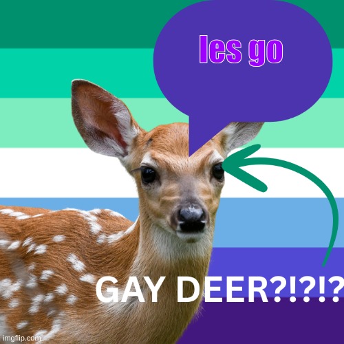 DeerlyGay's temp V1 | les go | image tagged in deerlygay's temp v1 | made w/ Imgflip meme maker