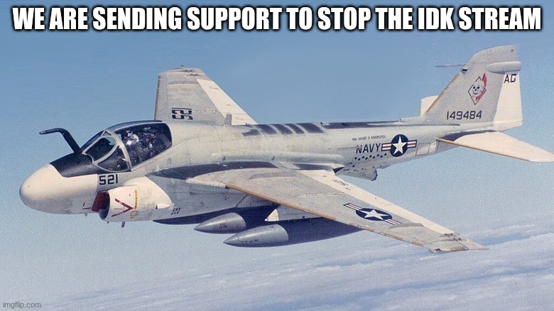 jet fighters | WE ARE SENDING SUPPORT TO STOP THE IDK STREAM | image tagged in jet fighters | made w/ Imgflip meme maker