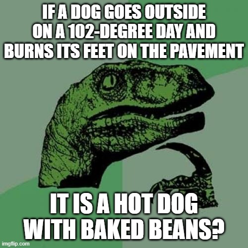 hot dog with baked beans | IF A DOG GOES OUTSIDE ON A 102-DEGREE DAY AND BURNS ITS FEET ON THE PAVEMENT; IT IS A HOT DOG
WITH BAKED BEANS? | image tagged in memes,philosoraptor | made w/ Imgflip meme maker