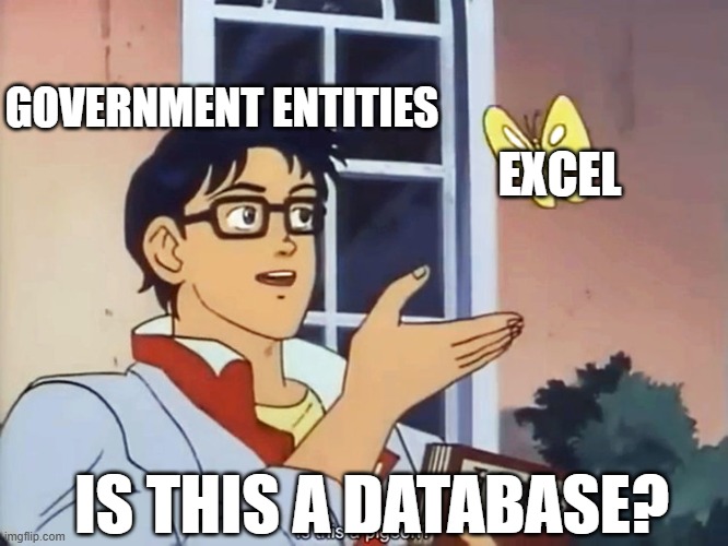 It's a pain in the ass to work with it | GOVERNMENT ENTITIES; EXCEL; IS THIS A DATABASE? | image tagged in anime butterfly meme | made w/ Imgflip meme maker