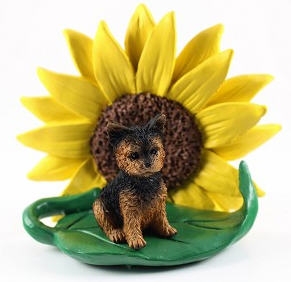 Yorkie Sunflower Blank Meme Template