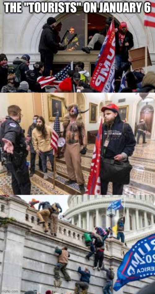 THE "TOURISTS" ON JANUARY 6 | made w/ Imgflip meme maker