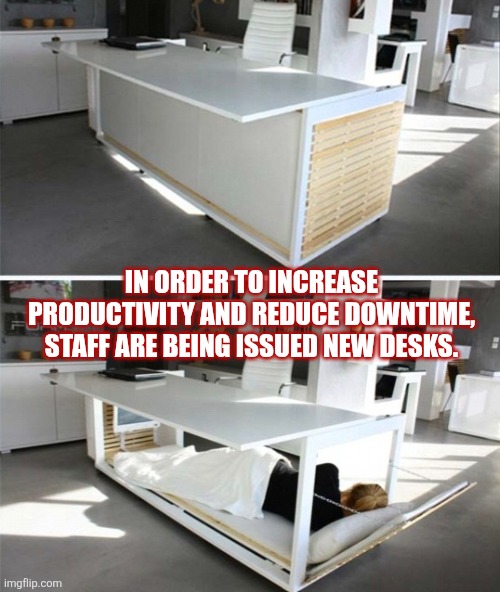 Desk bed | IN ORDER TO INCREASE PRODUCTIVITY AND REDUCE DOWNTIME, STAFF ARE BEING ISSUED NEW DESKS. | image tagged in sleep,sleep at work,bed,desk,productivity | made w/ Imgflip meme maker