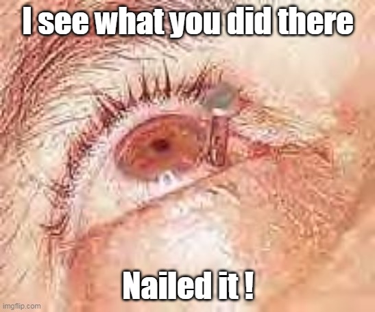 I see what you did there Nailed it ! | made w/ Imgflip meme maker