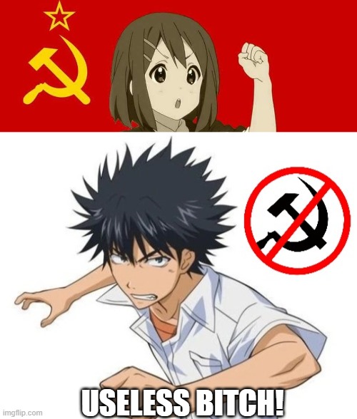 USELESS BITCH! | image tagged in communist anime,anti communist touma kamijou,anime | made w/ Imgflip meme maker
