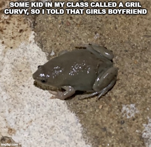 bro is cooked | SOME KID IN MY CLASS CALLED A GRIL CURVY, SO I TOLD THAT GIRLS BOYFRIEND | image tagged in fog | made w/ Imgflip meme maker