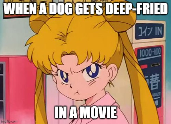More emotional than human deaths | WHEN A DOG GETS DEEP-FRIED; IN A MOVIE | image tagged in sailor moon,funny,memes,dogs,relatable,death | made w/ Imgflip meme maker