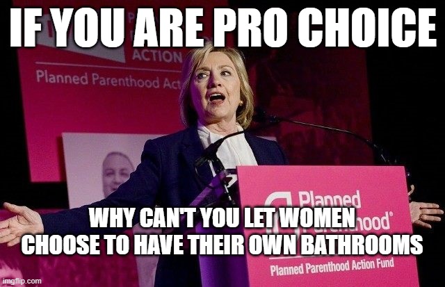 do you get the irony? | IF YOU ARE PRO CHOICE; WHY CAN'T YOU LET WOMEN CHOOSE TO HAVE THEIR OWN BATHROOMS | image tagged in pro choice | made w/ Imgflip meme maker