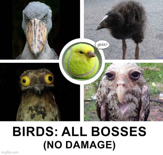 No-hit run | image tagged in e | made w/ Imgflip meme maker