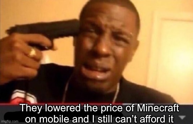 Imma kill myself | They lowered the price of Minecraft on mobile and I still can’t afford it | image tagged in imma kill myself | made w/ Imgflip meme maker