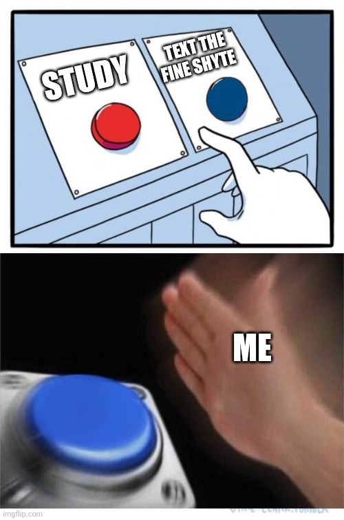 He's more important than school ?‍♀️ | TEXT THE FINE SHYTE; STUDY; ME | image tagged in two buttons 1 blue | made w/ Imgflip meme maker