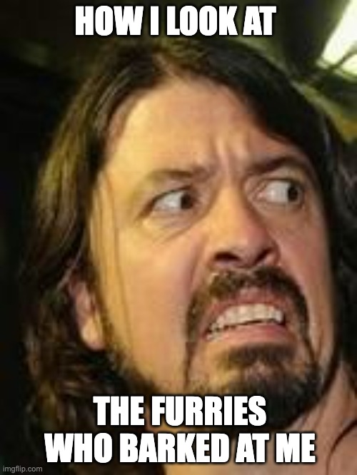 like why tf u barking at me | HOW I LOOK AT; THE FURRIES WHO BARKED AT ME | image tagged in dave discust,memes,anti meme,anti furry,funny,relatable | made w/ Imgflip meme maker