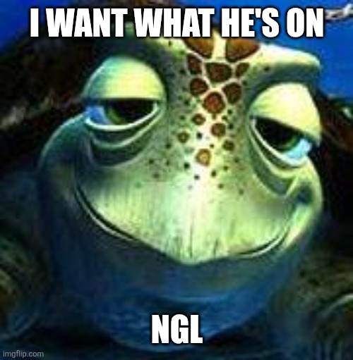 Who else??? | I WANT WHAT HE'S ON; NGL | image tagged in finding nemo turtle | made w/ Imgflip meme maker