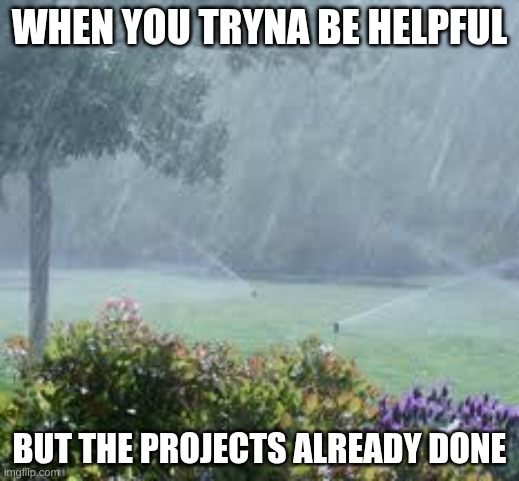 "you literally just added a pug with a tophat that says stupid facts!" | WHEN YOU TRYNA BE HELPFUL; BUT THE PROJECTS ALREADY DONE | image tagged in idk | made w/ Imgflip meme maker