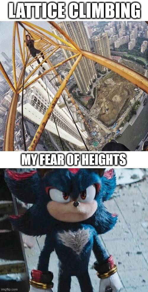 Shadow the Hedgehog | LATTICE CLIMBING; MY FEAR OF HEIGHTS | image tagged in shadow the hedgehog,lattice climbing,climbing,memes,sonic,movies | made w/ Imgflip meme maker