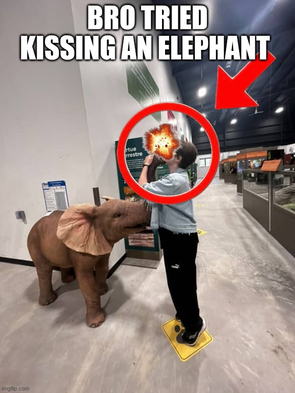 Average furaffinity user: | BRO TRIED KISSING AN ELEPHANT | made w/ Imgflip meme maker