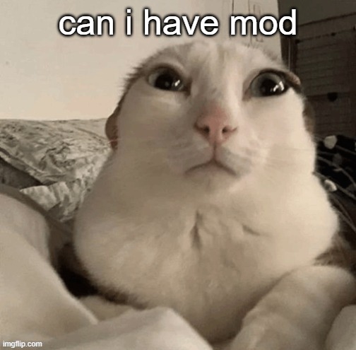 please | can i have mod | image tagged in goober | made w/ Imgflip meme maker
