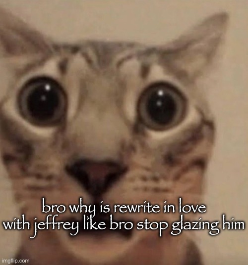 Scared Cat | bro why is rewrite in love with jeffrey like bro stop glazing him | image tagged in scared cat | made w/ Imgflip meme maker