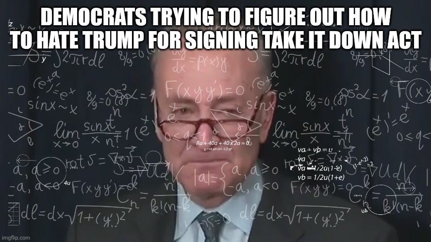 Progressive erosion of society made this law necessary. | DEMOCRATS TRYING TO FIGURE OUT HOW TO HATE TRUMP FOR SIGNING TAKE IT DOWN ACT | image tagged in political meme | made w/ Imgflip meme maker