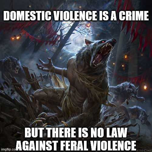 Feral Violence | DOMESTIC VIOLENCE IS A CRIME; BUT THERE IS NO LAW AGAINST FERAL VIOLENCE | image tagged in funny,werewolf | made w/ Imgflip meme maker