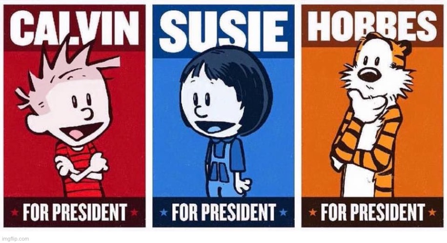 Hmmm… | image tagged in calvin and hobbes,president,choice | made w/ Imgflip meme maker