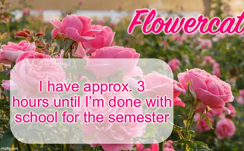 Flowercat template | I have approx. 3 hours until I’m done with school for the semester | image tagged in flowercat template | made w/ Imgflip meme maker