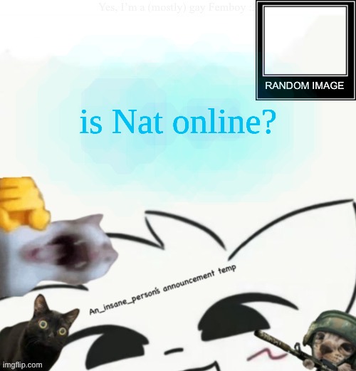 My lil announcement | is Nat online? | image tagged in my lil announcement | made w/ Imgflip meme maker