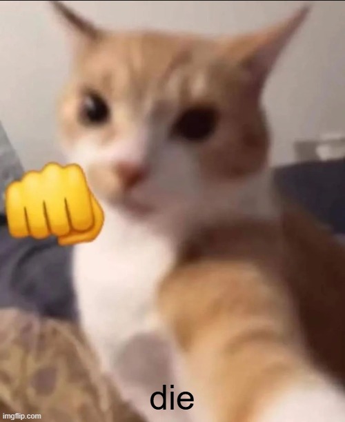 Punching cat | die | image tagged in punching cat | made w/ Imgflip meme maker