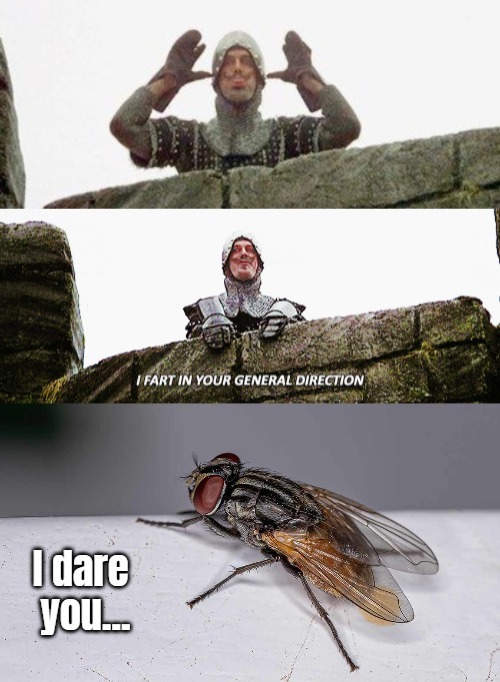 image tagged in funny,monty python and the holy grail | made w/ Imgflip meme maker