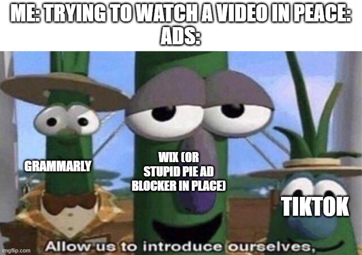 pie ad blocker ads are pretty ironic, trying to annoy you into getting their ad blocker. Those hypocrites. | ME: TRYING TO WATCH A VIDEO IN PEACE:
ADS:; GRAMMARLY; WIX (OR STUPID PIE AD BLOCKER IN PLACE); TIKTOK | image tagged in veggietales 'allow us to introduce ourselfs' | made w/ Imgflip meme maker