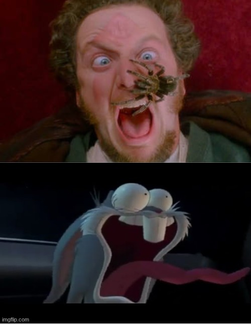 Bugs Bunny Scared of Marv Scream | image tagged in bugs bunny,home alone,marv scream,spider | made w/ Imgflip meme maker