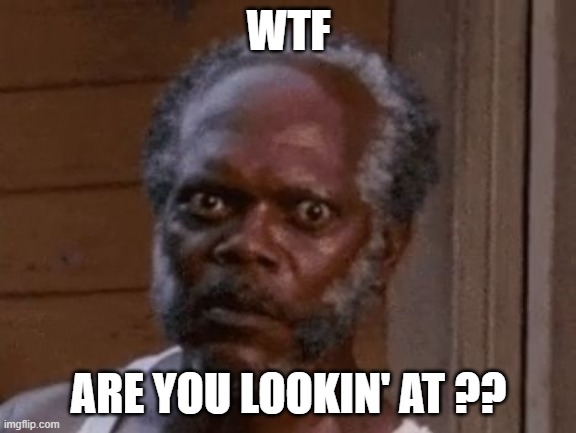 Samuel L. Jackson - Stare | WTF; ARE YOU LOOKIN' AT ?? | image tagged in samuel l jackson - stare | made w/ Imgflip meme maker