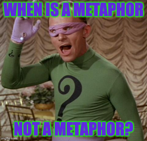 Riddler | WHEN IS A METAPHOR NOT A METAPHOR? | image tagged in riddler | made w/ Imgflip meme maker
