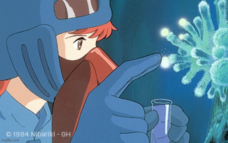 Nausicaa Spores | image tagged in nausicaa spores | made w/ Imgflip meme maker