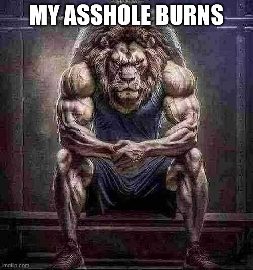 Chad lion | MY ASSHOLE BURNS | image tagged in chad lion | made w/ Imgflip meme maker