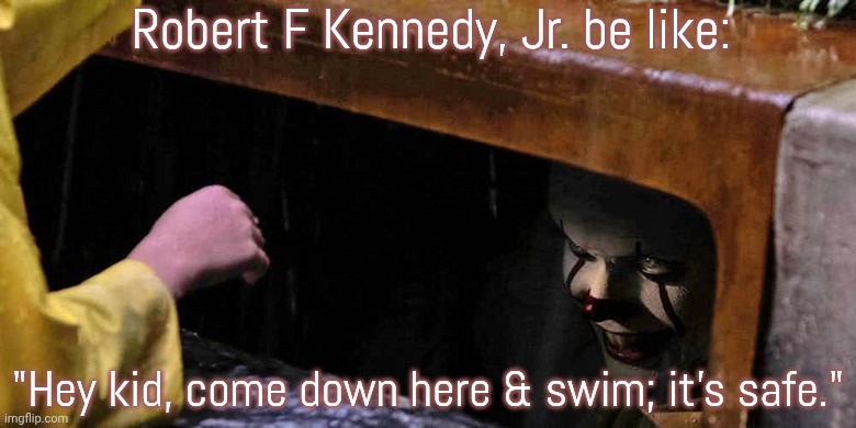 Up a certain creek without a paddle. | Robert F Kennedy, Jr. be like:; "Hey kid, come down here & swim; it's safe." | image tagged in pennywise the dc in sewers,dangerous,disease,child abuse,insane clown posse | made w/ Imgflip meme maker