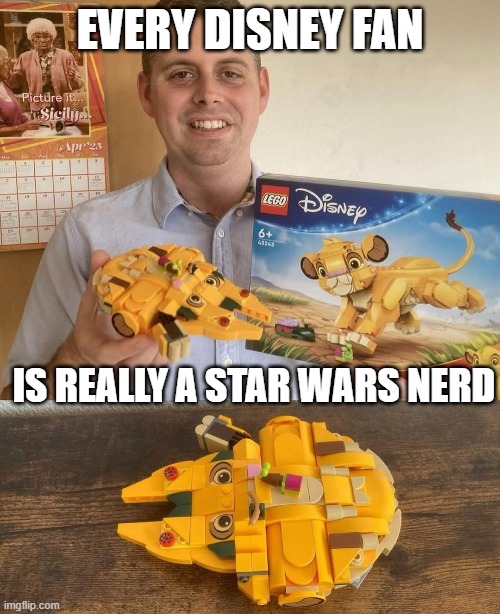 the Simba Falcon | EVERY DISNEY FAN; IS REALLY A STAR WARS NERD | image tagged in star wars,disney | made w/ Imgflip meme maker