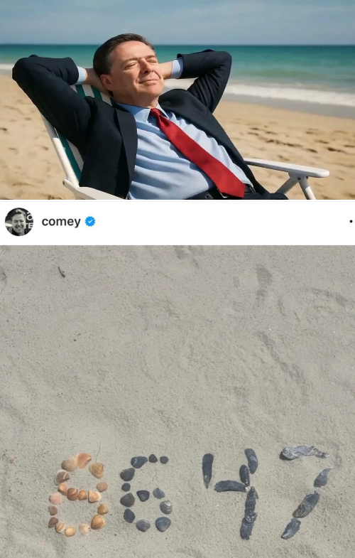 Comey at the beach after he spells 8647 Blank Meme Template