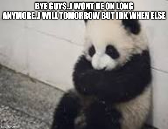 sad panda | BYE GUYS..I WONT BE ON LONG ANYMORE..I WILL TOMORROW BUT IDK WHEN ELSE | image tagged in sad panda | made w/ Imgflip meme maker