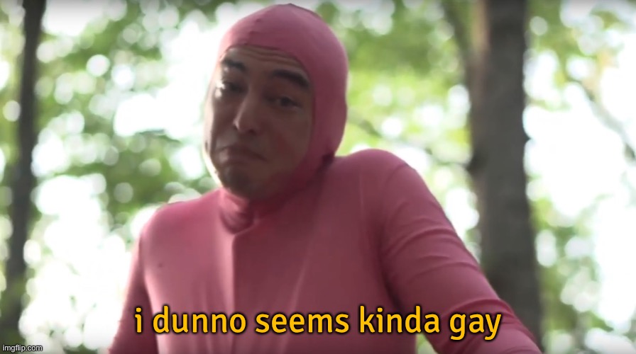 seems kinda gay template | i dunno seems kinda gay | image tagged in seems kinda gay template | made w/ Imgflip meme maker