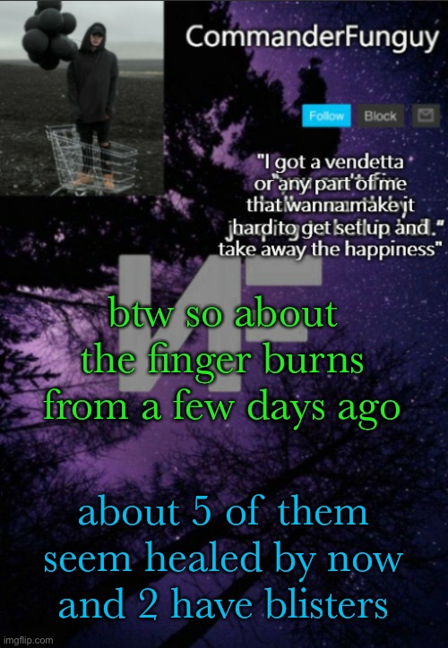 CommanderFunguy NF template (thx yachi) | btw so about the finger burns from a few days ago; about 5 of them seem healed by now
and 2 have blisters | image tagged in commanderfunguy nf template thx yachi | made w/ Imgflip meme maker