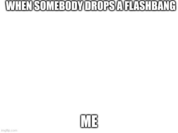 bomb | WHEN SOMEBODY DROPS A FLASHBANG; ME | image tagged in fun | made w/ Imgflip meme maker