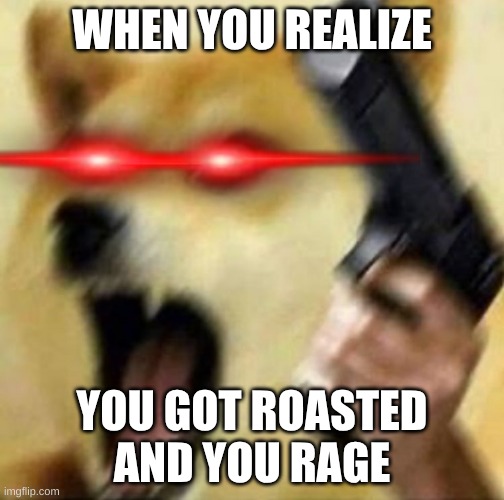Angry doge with gun | WHEN YOU REALIZE; YOU GOT ROASTED AND YOU RAGE | image tagged in angry doge with gun | made w/ Imgflip meme maker