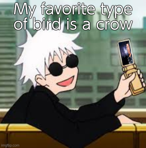 How about you? | My favorite type of bird is a crow | image tagged in gojo satoru lowtiergod | made w/ Imgflip meme maker