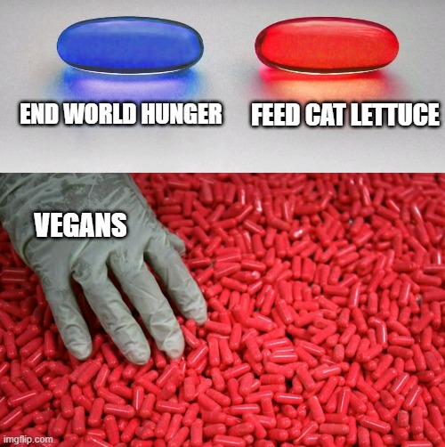 Cats do not like lettuce. | END WORLD HUNGER; FEED CAT LETTUCE; VEGANS | image tagged in blue or red pill | made w/ Imgflip meme maker