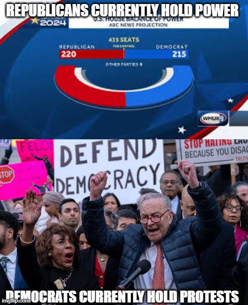 Republicans currently hold power and Democrats currently hold protests. | REPUBLICANS CURRENTLY HOLD POWER; DEMOCRATS CURRENTLY HOLD PROTESTS | image tagged in republicans,democrats | made w/ Imgflip meme maker