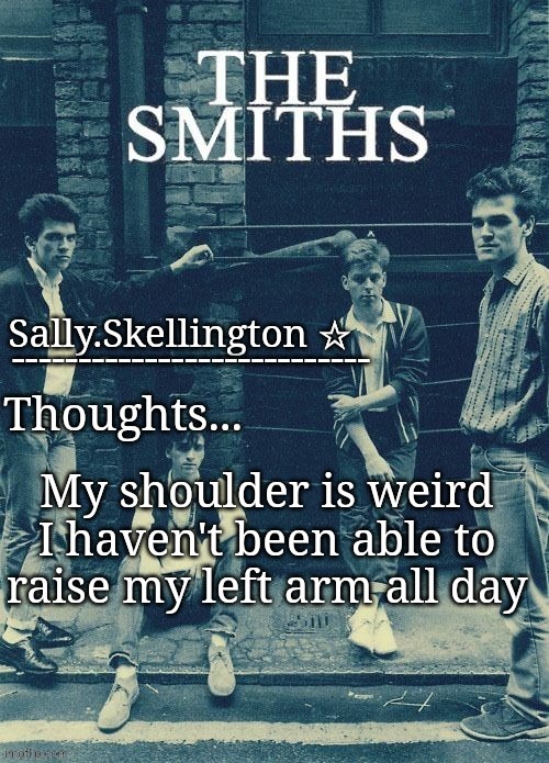 Sally's temp | My shoulder is weird I haven't been able to raise my left arm all day | image tagged in sally's temp | made w/ Imgflip meme maker